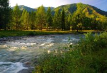 Altai Mountains