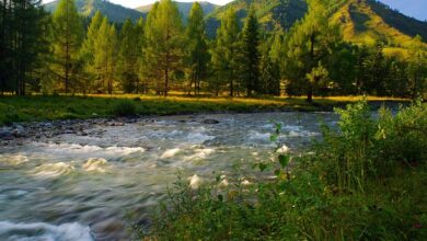 Altai Mountains