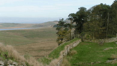 Hadrians-wall
